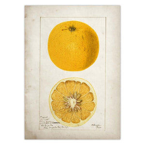 Tableau | Fruits et légumes peinture