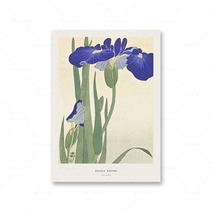 Tableau | Iris