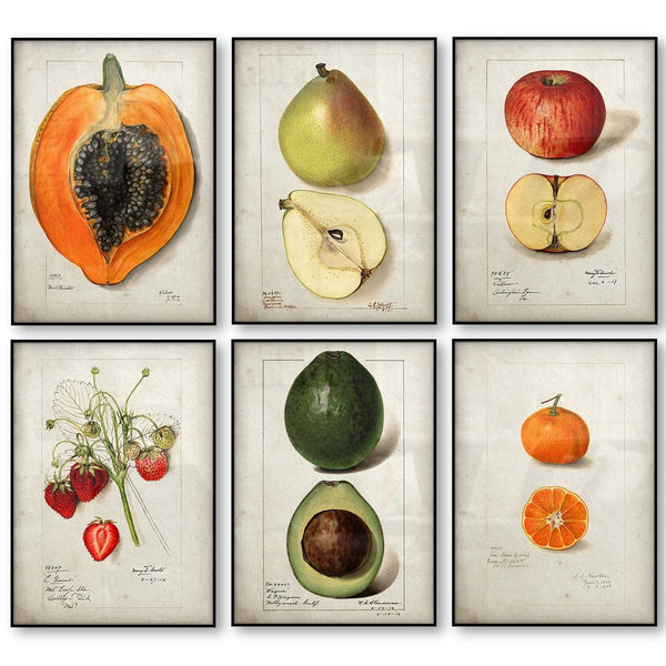 Tableaux | Fruits